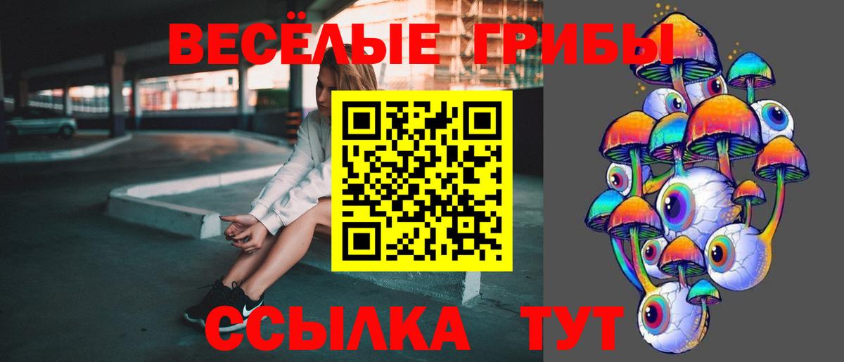 Псилоцибиновые грибы Psilocybe  Вход с VPN  Верхний Уфалей 